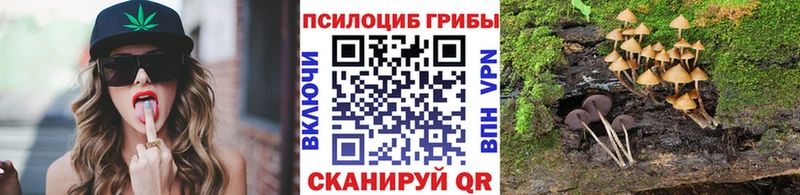 Галлюциногенные грибы GOLDEN TEACHER  Купить закладки  Хасавюрт 